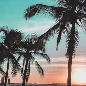 Meet your Posher, Jacquelin